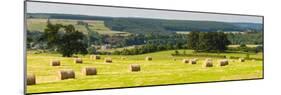 Hay Bale Landscape in Northumberland National Park-Matthew Williams-Ellis-Mounted Photographic Print