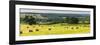 Hay Bale Landscape in Northumberland National Park-Matthew Williams-Ellis-Framed Photographic Print