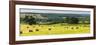 Hay Bale Landscape in Northumberland National Park-Matthew Williams-Ellis-Framed Photographic Print