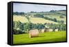 Hay Bale Landscape-Matthew-Framed Stretched Canvas