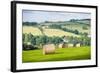 Hay Bale Landscape-Matthew-Framed Photographic Print