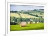 Hay Bale Landscape-Matthew-Framed Photographic Print