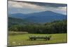 Hay Bale Trailer-Brenda Petrella Photography LLC-Mounted Giclee Print