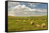 Hay bales and clouds, Palouse region of Eastern Washington State-Adam Jones-Framed Stretched Canvas