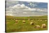 Hay bales and clouds, Palouse region of Eastern Washington State-Adam Jones-Stretched Canvas