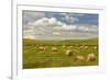 Hay bales and clouds, Palouse region of Eastern Washington State-Adam Jones-Framed Photographic Print