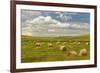 Hay bales and clouds, Palouse region of Eastern Washington State-Adam Jones-Framed Photographic Print