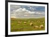 Hay bales and clouds, Palouse region of Eastern Washington State-Adam Jones-Framed Photographic Print