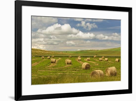 Hay bales and clouds, Palouse region of Eastern Washington State-Adam Jones-Framed Photographic Print