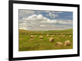 Hay bales and clouds, Palouse region of Eastern Washington State-Adam Jones-Framed Photographic Print