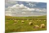 Hay bales and clouds, Palouse region of Eastern Washington State-Adam Jones-Mounted Photographic Print