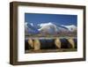 Hay bales and Kakanui Mountains, Kyeburn, near Ranfurly, Maniototo, Central Otago, South Island, Ne-David Wall-Framed Photographic Print