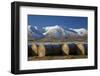 Hay bales and Kakanui Mountains, Kyeburn, near Ranfurly, Maniototo, Central Otago, South Island, Ne-David Wall-Framed Photographic Print