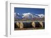 Hay bales and Kakanui Mountains, Kyeburn, near Ranfurly, Maniototo, Central Otago, South Island, Ne-David Wall-Framed Photographic Print