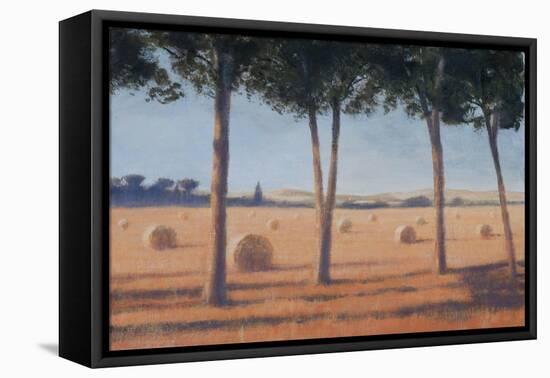 Hay Bales and Pines, Pienza, 2012-Lincoln Seligman-Framed Stretched Canvas