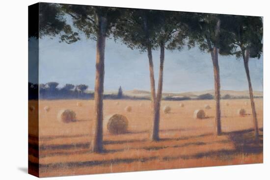 Hay Bales and Pines, Pienza, 2012-Lincoln Seligman-Stretched Canvas