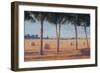 Hay Bales and Pines, Pienza, 2012-Lincoln Seligman-Framed Giclee Print