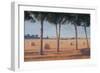 Hay Bales and Pines, Pienza, 2012-Lincoln Seligman-Framed Giclee Print