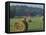 Hay Bales and Red Barn, Greenup, Kentucky, USA-Adam Jones-Framed Stretched Canvas