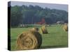 Hay Bales and Red Barn, Greenup, Kentucky, USA-Adam Jones-Stretched Canvas