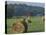 Hay Bales and Red Barn, Greenup, Kentucky, USA-Adam Jones-Stretched Canvas