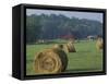 Hay Bales and Red Barn, Greenup, Kentucky, USA-Adam Jones-Framed Stretched Canvas