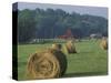 Hay Bales and Red Barn, Greenup, Kentucky, USA-Adam Jones-Stretched Canvas