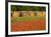 Hay bales and red Texas paintbrush flowers, Texas hill country near Marble Falls, Llano, Texas-Adam Jones-Framed Photographic Print