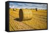Hay Bales Appear Golden in the Sunlight on a Farm Near Llyswen, Wales-Frances Gallogly-Framed Stretched Canvas
