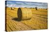 Hay Bales Appear Golden in the Sunlight on a Farm Near Llyswen, Wales-Frances Gallogly-Stretched Canvas