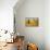 Hay Bales Appear Golden in the Sunlight on a Farm Near Llyswen, Wales-Frances Gallogly-Photographic Print displayed on a wall