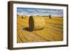 Hay Bales Appear Golden in the Sunlight on a Farm Near Llyswen, Wales-Frances Gallogly-Framed Photographic Print