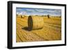 Hay Bales Appear Golden in the Sunlight on a Farm Near Llyswen, Wales-Frances Gallogly-Framed Photographic Print