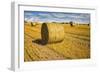 Hay Bales Appear Golden in the Sunlight on a Farm Near Llyswen, Wales-Frances Gallogly-Framed Photographic Print