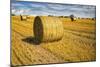 Hay Bales Appear Golden in the Sunlight on a Farm Near Llyswen, Wales-Frances Gallogly-Mounted Photographic Print