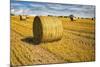 Hay Bales Appear Golden in the Sunlight on a Farm Near Llyswen, Wales-Frances Gallogly-Mounted Photographic Print