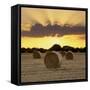 Hay Bales at Sunset, East Sussex, England, United Kingdom, Europe-Stuart Black-Framed Stretched Canvas