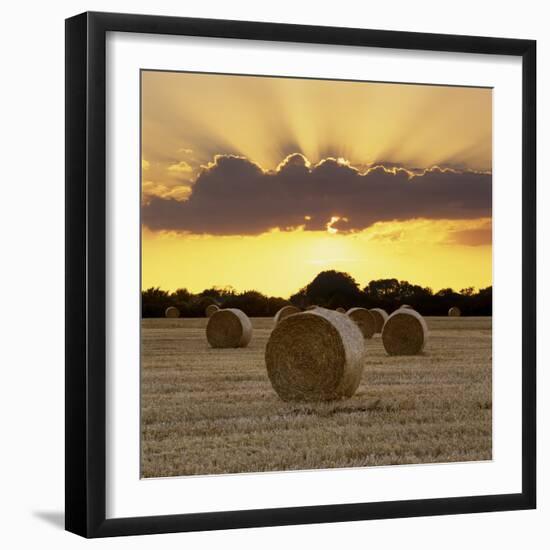 Hay Bales at Sunset, East Sussex, England, United Kingdom, Europe-Stuart Black-Framed Photographic Print