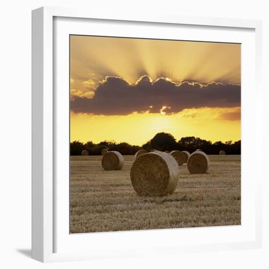 Hay Bales at Sunset, East Sussex, England, United Kingdom, Europe-Stuart Black-Framed Photographic Print