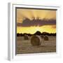 Hay Bales at Sunset, East Sussex, England, United Kingdom, Europe-Stuart Black-Framed Photographic Print