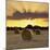 Hay Bales at Sunset, East Sussex, England, United Kingdom, Europe-Stuart Black-Mounted Photographic Print