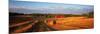 Hay Bales in a Field, Flen, Sodermanland County, Sweden-null-Mounted Photographic Print