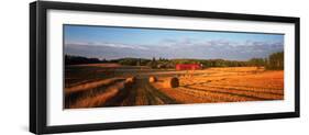 Hay Bales in a Field, Flen, Sodermanland County, Sweden-null-Framed Photographic Print
