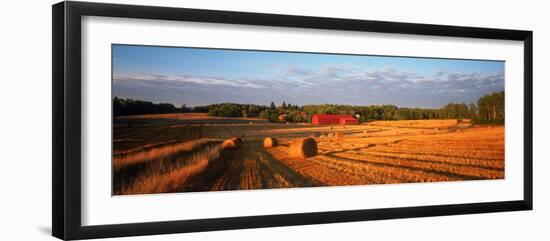 Hay Bales in a Field, Flen, Sodermanland County, Sweden-null-Framed Premium Photographic Print