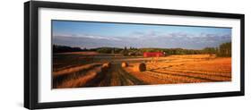 Hay Bales in a Field, Flen, Sodermanland County, Sweden-null-Framed Premium Photographic Print