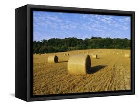 Hay Bales in a Field in Late Summer, Kent, England, UK, Europe-David Tipling-Framed Stretched Canvas