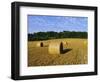 Hay Bales in a Field in Late Summer, Kent, England, UK, Europe-David Tipling-Framed Photographic Print