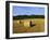 Hay Bales in a Field in Late Summer, Kent, England, UK, Europe-David Tipling-Framed Photographic Print