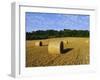 Hay Bales in a Field in Late Summer, Kent, England, UK, Europe-David Tipling-Framed Photographic Print