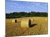 Hay Bales in a Field in Late Summer, Kent, England, UK, Europe-David Tipling-Mounted Photographic Print